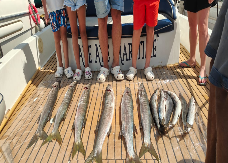 IMG-20250616-WA0024